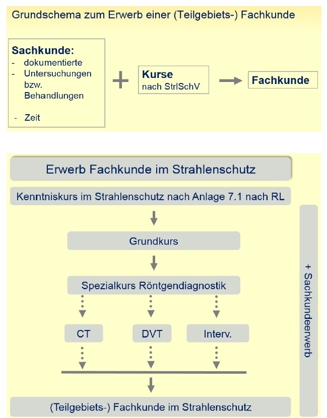 Fachkundeerwerb Ärzte - Röntgen-Consult